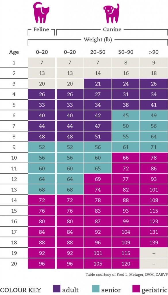 Pet Age Chart